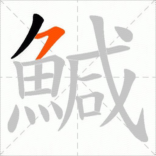 鰔