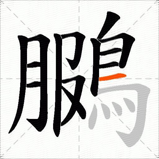鵩