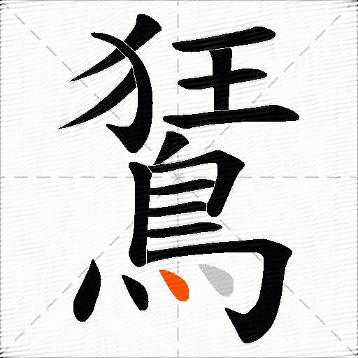 鵟