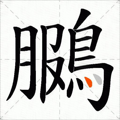 鵩