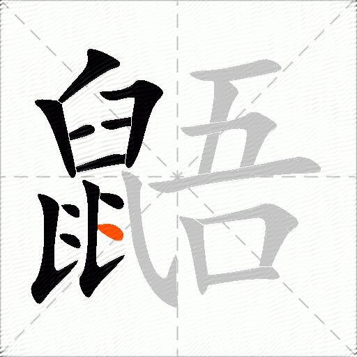 鼯
