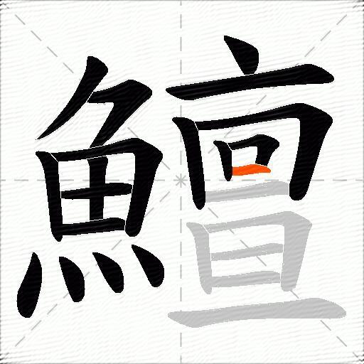 鱣