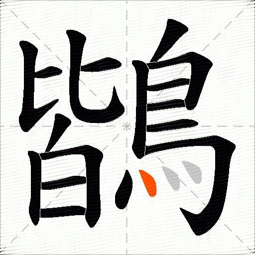 鶛