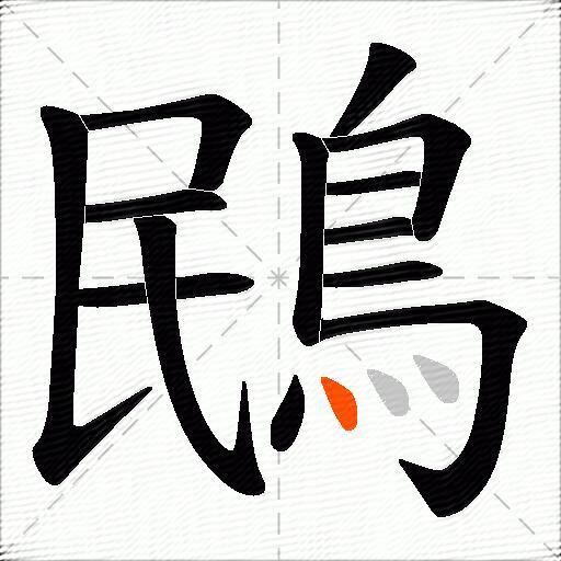 鴖