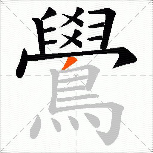 鷽