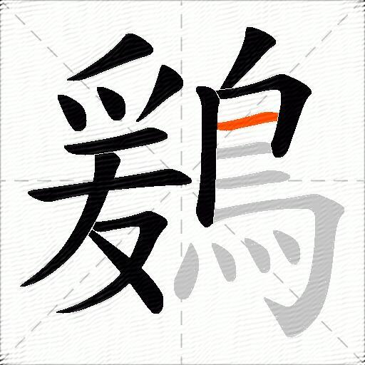 鶢