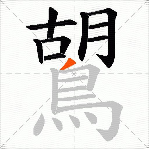 鶦