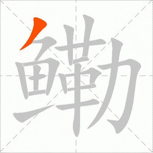 鳓