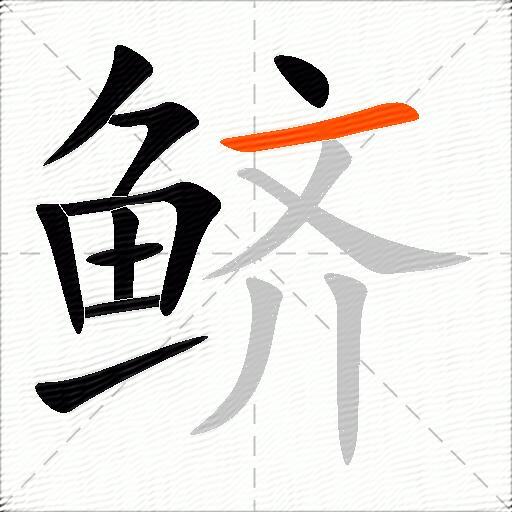 鲚