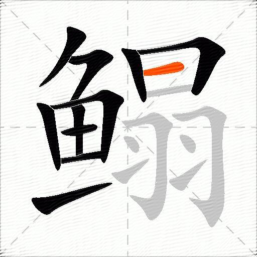 鳎