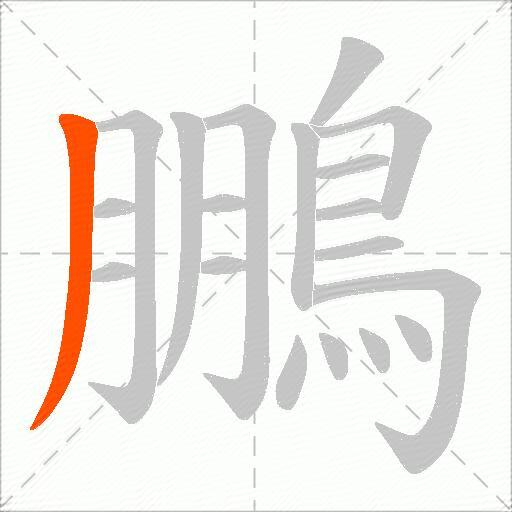 鵬