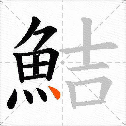 鮚