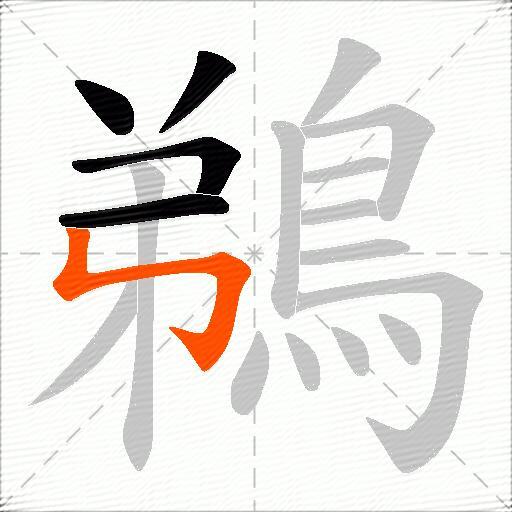 鵜
