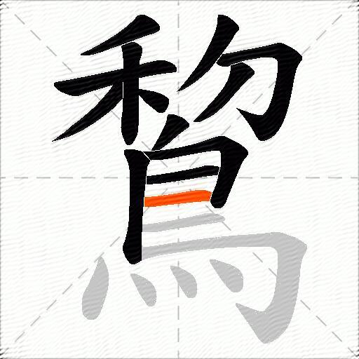 鵹
