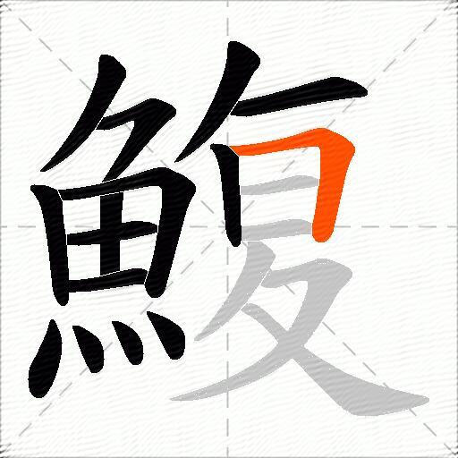 鰒