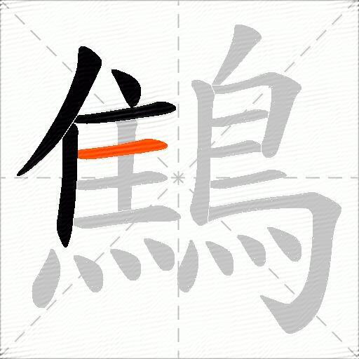 鷦