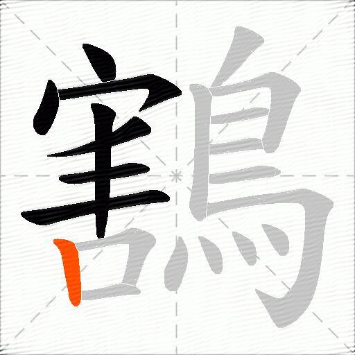 鶷