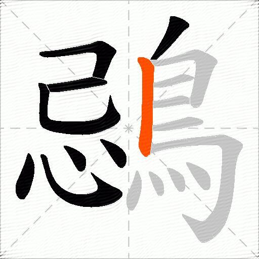 鵋