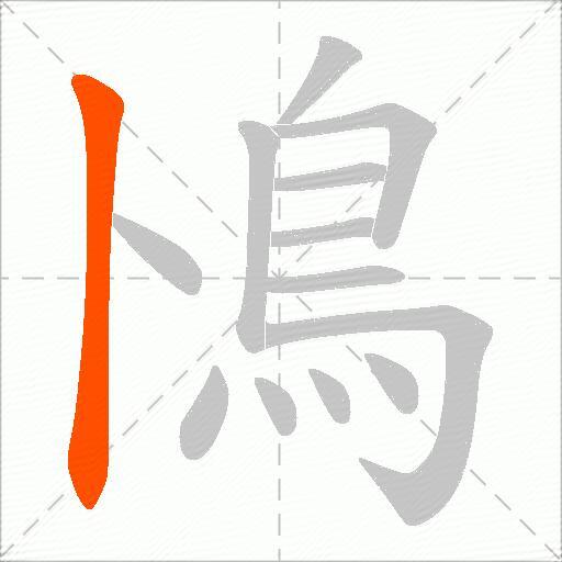 鳪