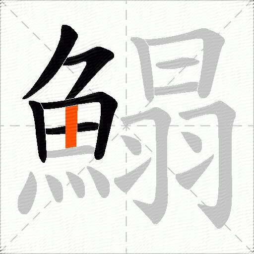 鰨
