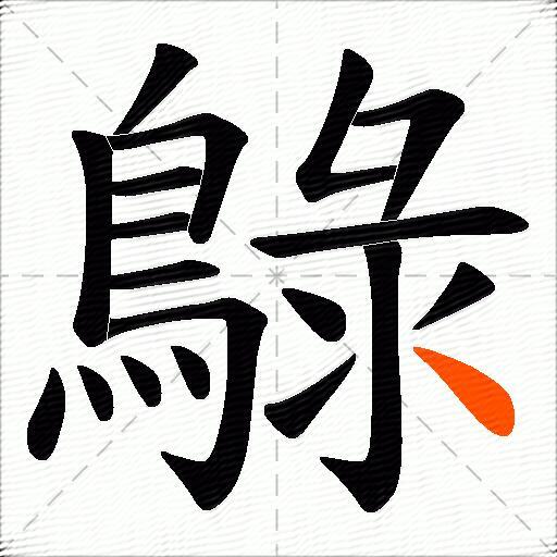 鵦
