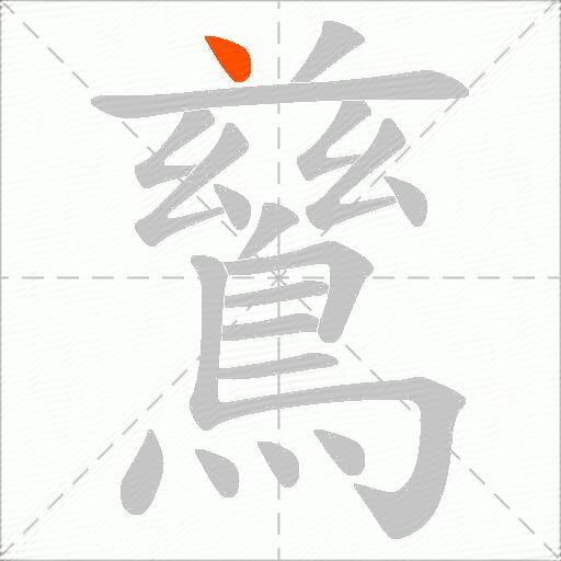 鶿