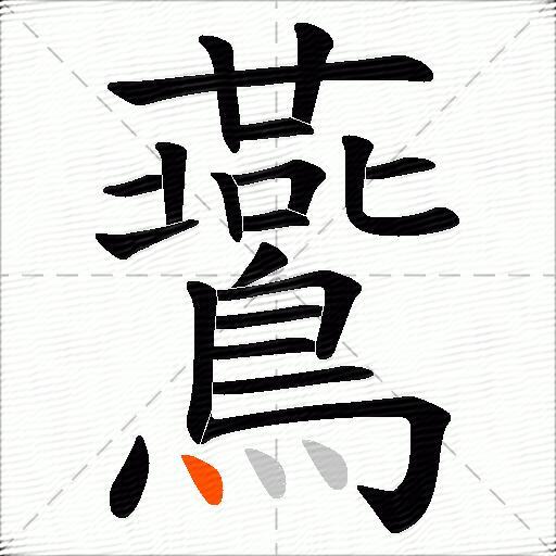 鷰