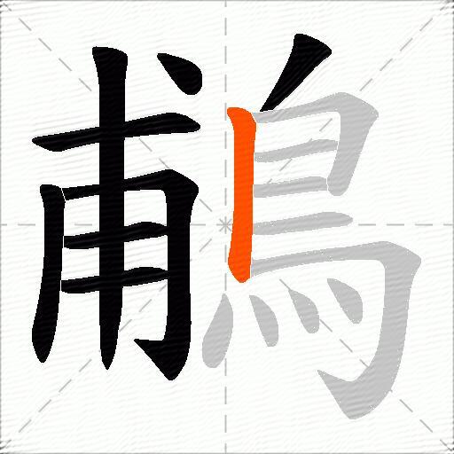 鵏