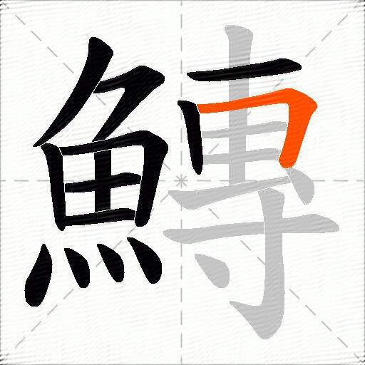 鱄