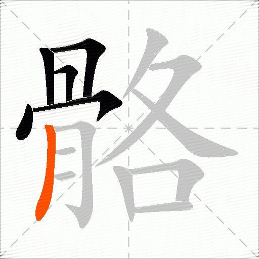骼