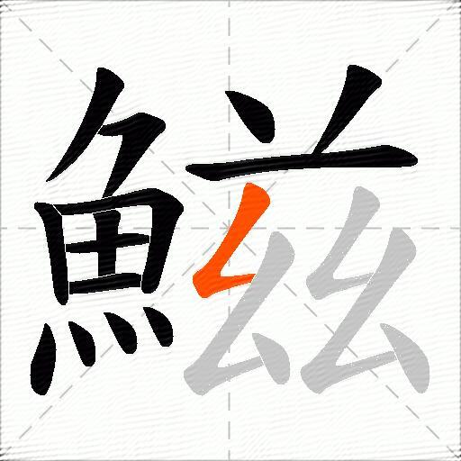 鰦