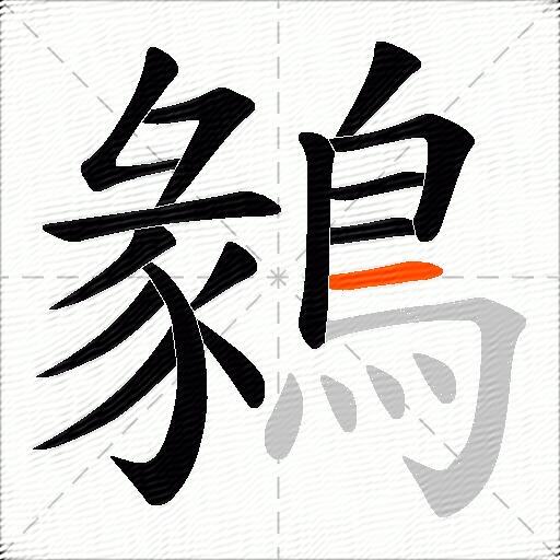 鶨
