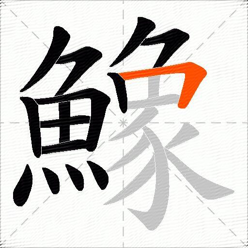 鱌