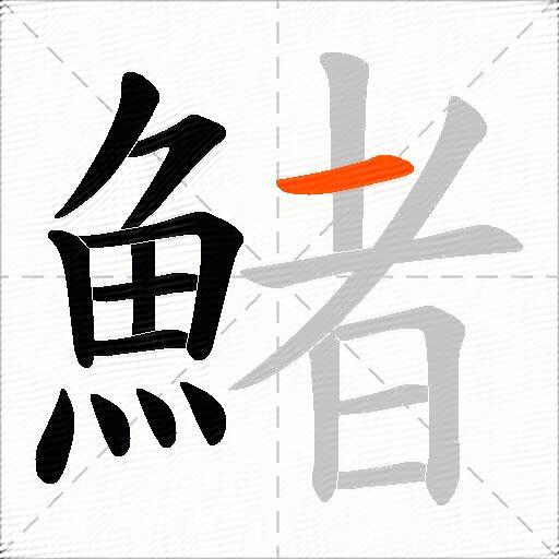 鯺
