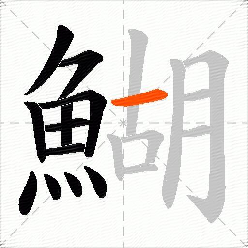 鰗