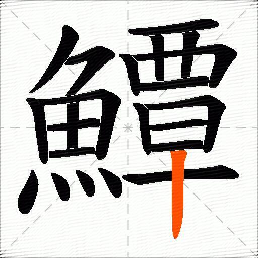 鱏