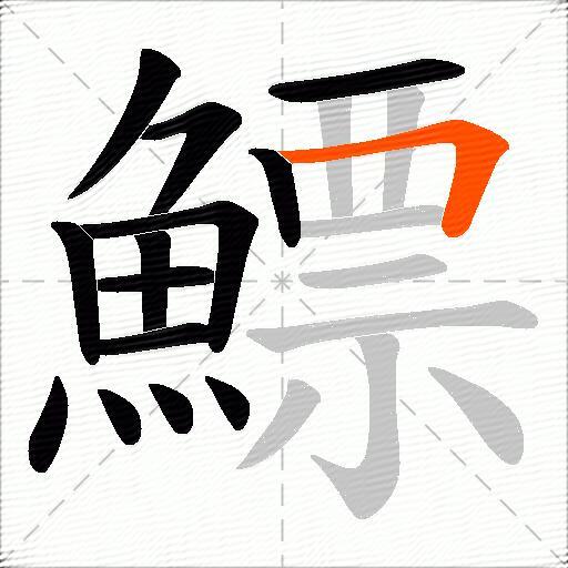 鰾