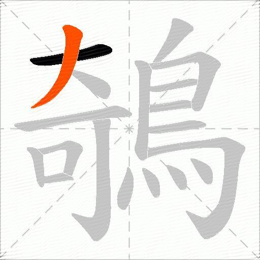 鵸