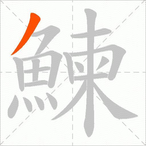 鰊