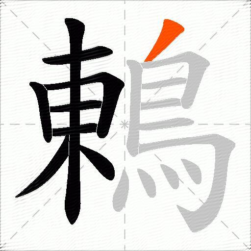 鶇