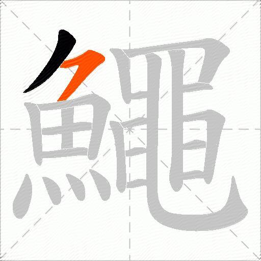 鱦