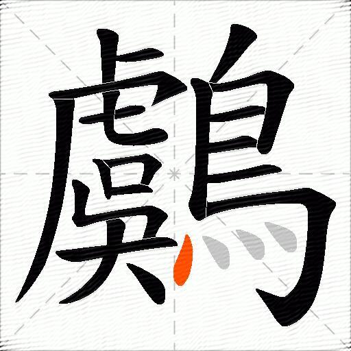 鸆