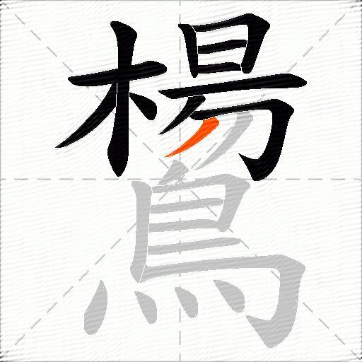 鸉