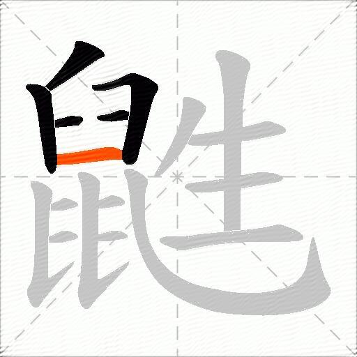 鼪