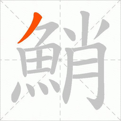 鮹