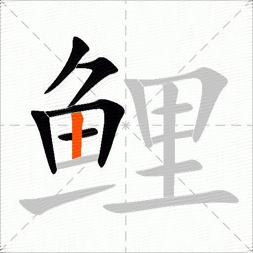 鲤