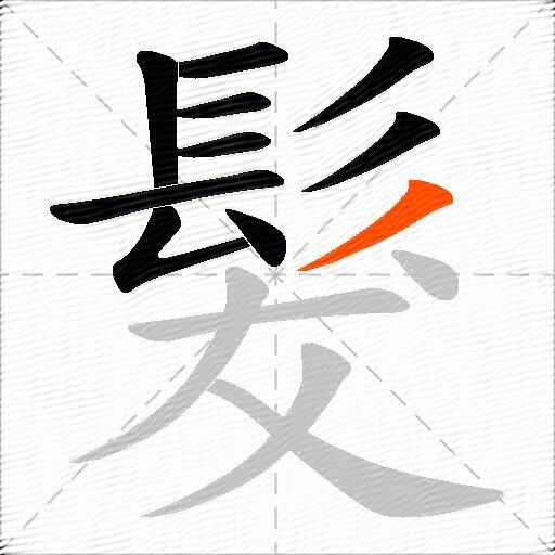 髮