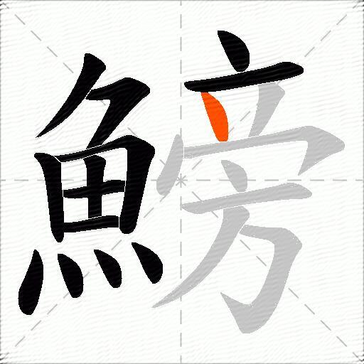 鰟