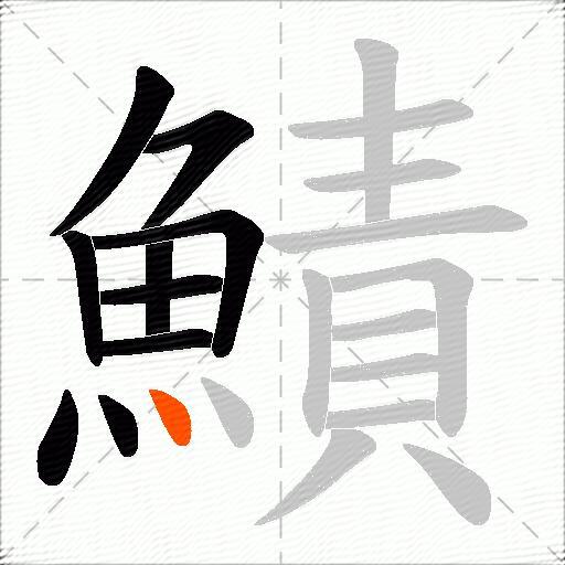 鰿