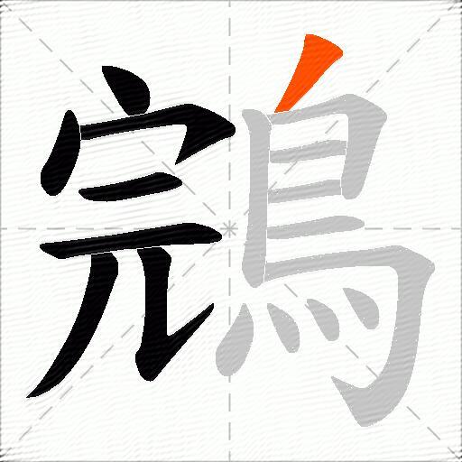 鵍